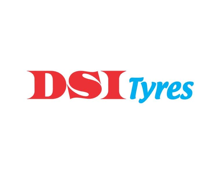 DSI logo