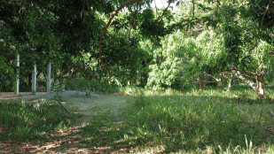 Picture15