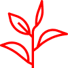 Calculator Icon